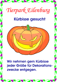 Kürbis gesucht