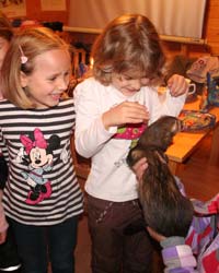 Frettchen zum Streicheln