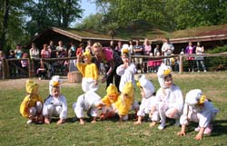 Kükentanz