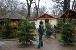 Weihnachten grüßt