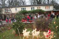 Weihnachten im Tierpark