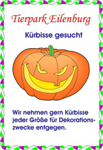 Kürbisse gesucht