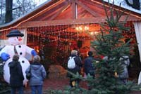 Weihnachtspavillon