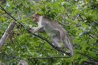 Klettermöglichkeiten