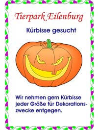 Kürbisse gesucht
