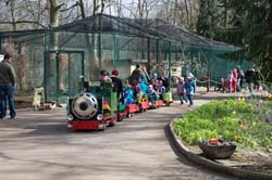 Tierparkeisenbahn
