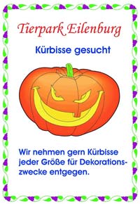 Kürbis gesucht