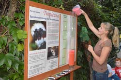Spendensammlung fürs Tropicana