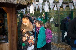 Halloween im Tierpark
