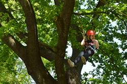 Dieses Bild in groß ... Kindertag