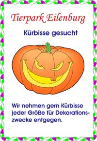 Kürbisse gesucht