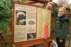 Dieses Bild in groß ... Spendenstand im Dezember