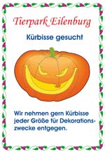 Kürbisse gesucht