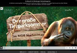 MDR-Tierparksommer