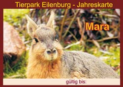 Mara