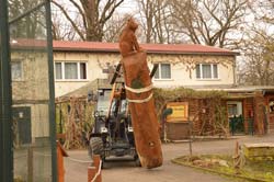 Baum mit Schnitzerei