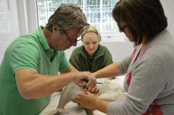 Während einer Operation