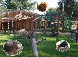 Tropicana von außen