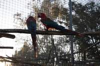 Halloween im Tierpark