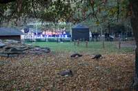 Halloween im Tierpark