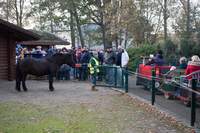 Halloween im Tierpark