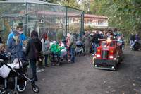 Halloween im Tierpark