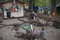 Halloween im Tierpark