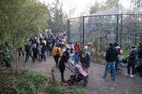 Halloween im Tierpark