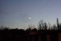 Halloween im Tierpark