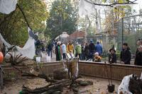 Meerschweinchengehege