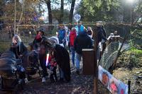 Zeitige Dämmerung im Tierpark